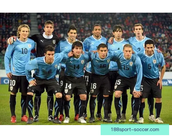 2026年世界杯各国球队名单预测与前瞻分析